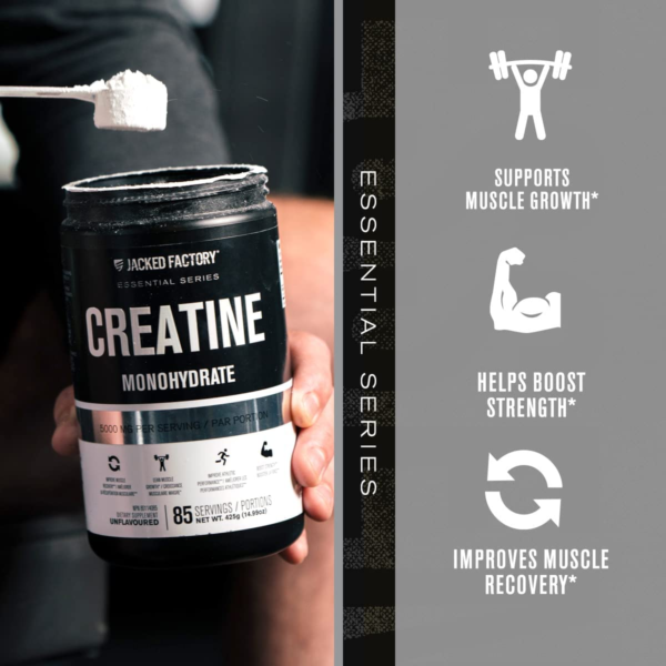 Creatine Monohydrate Powder 425G - Creatine Supplement for Muscle Growth, Increased Strength, Enhanced Energy Output and Improved Athletic Performance 85 Servings, Unflavored - Image 3