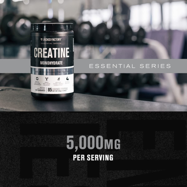 Creatine Monohydrate Powder 425G - Creatine Supplement for Muscle Growth, Increased Strength, Enhanced Energy Output and Improved Athletic Performance 85 Servings, Unflavored - Image 2