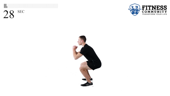 Squat Pulses