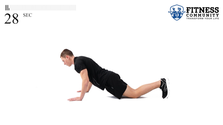 Knee Push-Ups