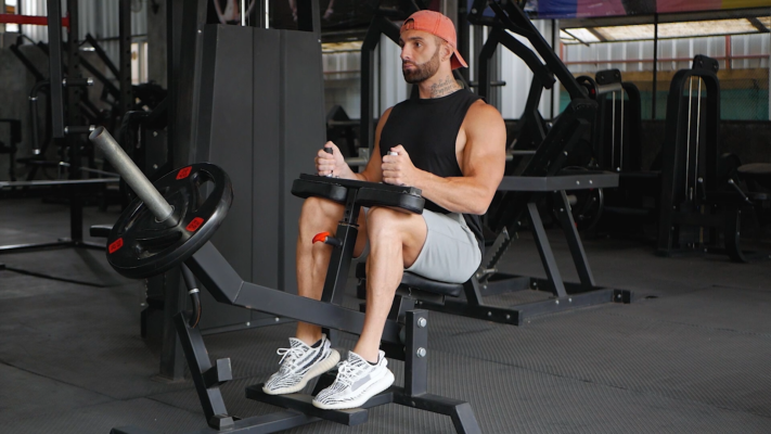 Seated Calf Raise Machine Exercise